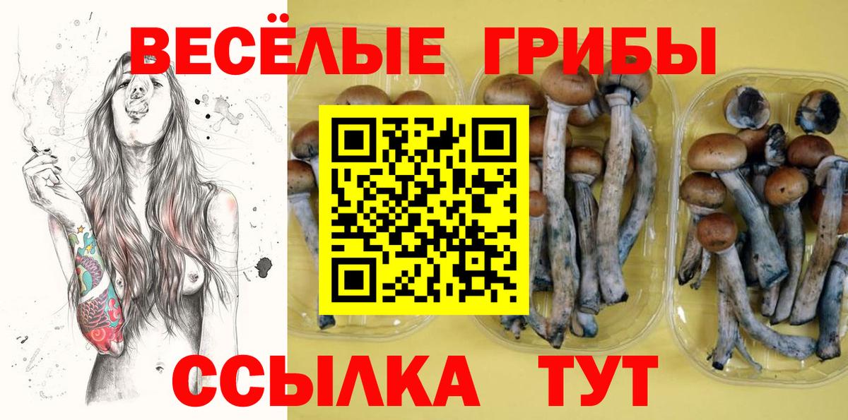 цены   Вход с VPN  Белогорск  Галлюциногенные грибы мицелий 